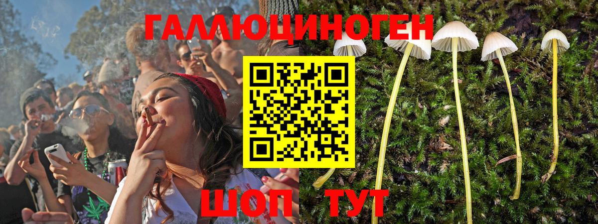 Codein Лянтор
